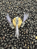 Hand Tied Jigs pack of 3